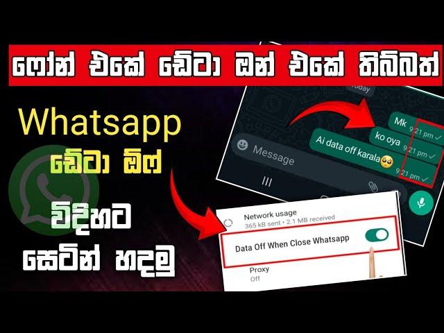 වට්සැප් එකේ විතරක් ඩේටා ඕෆ් කරමු |Whatsapp data off setting sinhala 2024