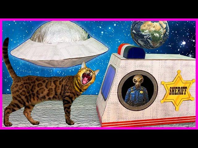 CAT QUEST  | ESCAPE FROM SPACE PRISON IN REAL LIFE