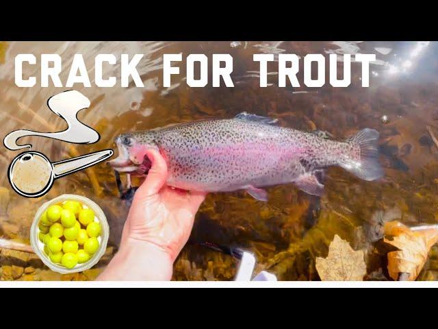 Cheat Code for Catching Stocked Rainbow Trout