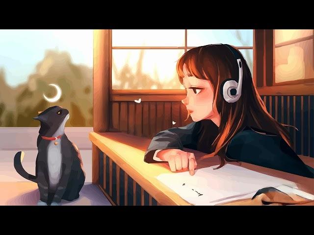 Read and Chill  No Copyright Lofi Hip Hop & Chillhop Music 2022 Lofi Playlist 2022 #319