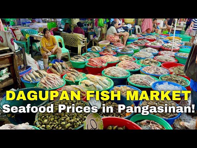 DAGUPAN FISH MARKET TOUR | Pangasinan’s Biggest Seafood Market Prices this August 2024 | Philippines