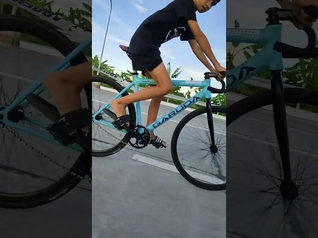 Fixie Garuda Tempest