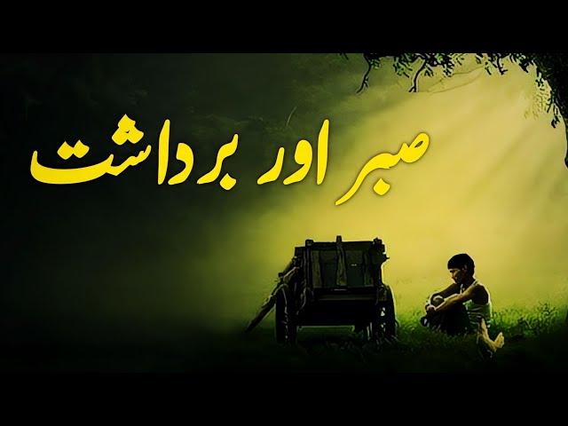 Sabr Aur Bardasht | Beautiful Spiritual Quotes | Listen the Islam Q.K