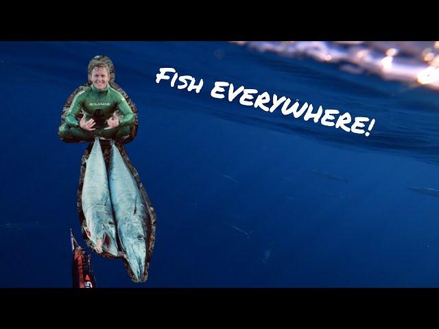 Spearfishing Wahoo (Ono) Catch and Cook FISH EVERYWHERE!!!