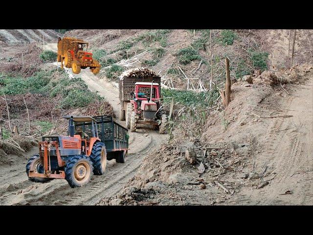 the journey of a plow truck transporting wood - strong and powerful