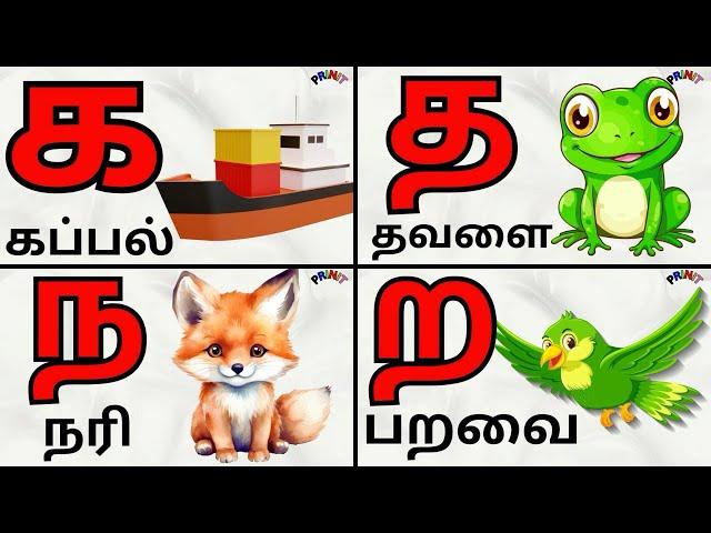 உயிர் மெய் எழுத்துக்கள்/vowel consonants /க ங ச ஞ ன