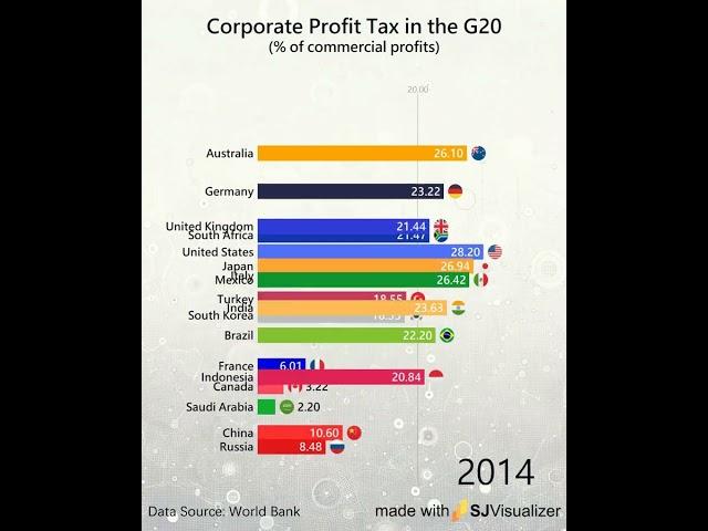 Which G20 country has the highest profit tax?