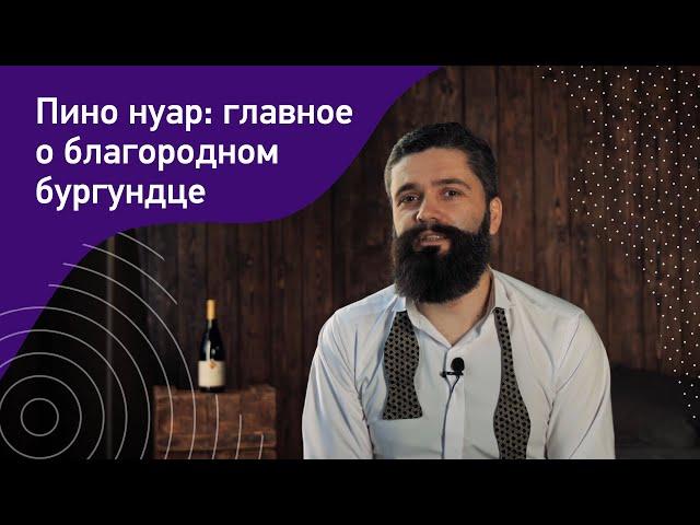 Пино нуар. Главное о благородном бургундце