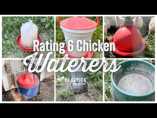 Best Chicken Waterers | 6 Reviews