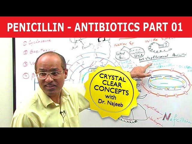 Penicillin | Antibiotics | Dr Najeeb | Part 1/4