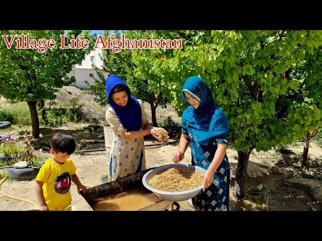 Daily Routine Village life in Afghanistan| Rural Life Of Afghan Women In a Remot Village Jaghori