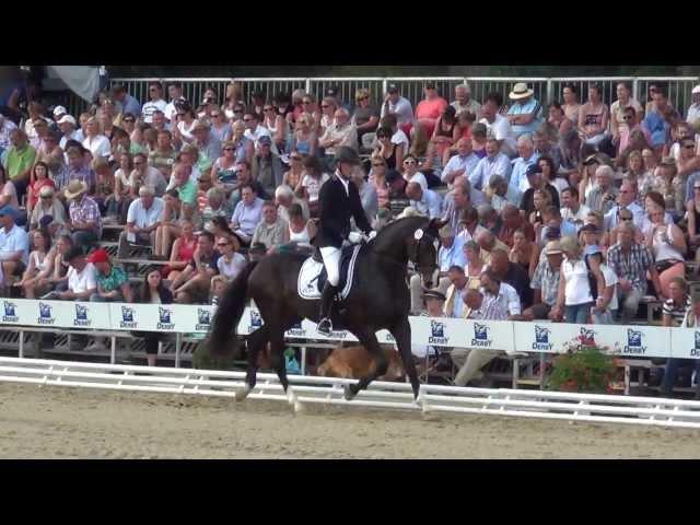 Bundeschampionate 2013: EQUITARIS & Stefan Borgmann Einlaufprüfung 3j. Reitpferdehengste