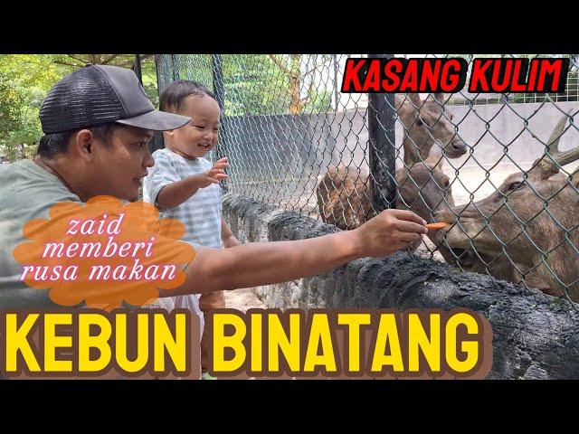 Zaid liburan ke kebun binatang || wisata alam pekanbaru riau. #kasangkulim #zoo #kebunbinatang