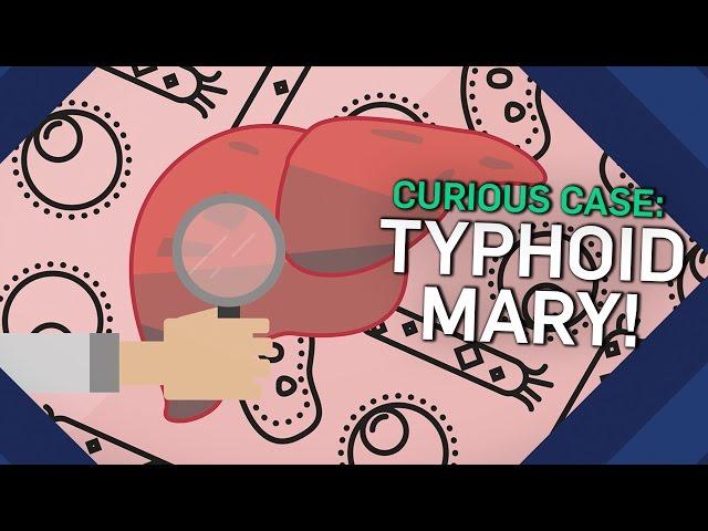 The Curious Case Of Typhoid Mary | Earth Science