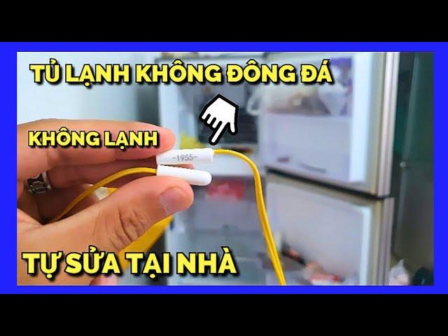 Tủ Lạnh Không Đông Đá Không Lạnh Tự sửa tại nhà không cần thợ  Samsung inverter