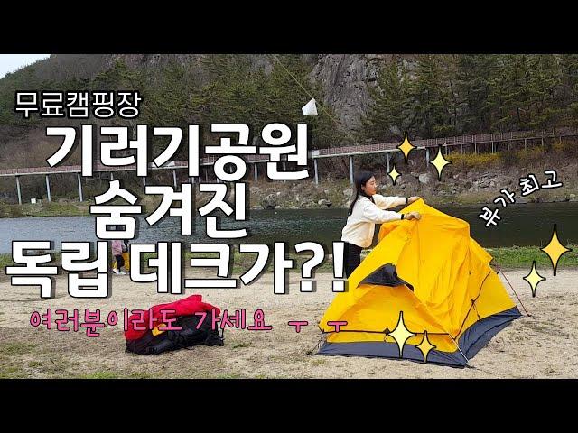 Free camping site / Geumsan Geese Park / Solo camp / Beginners camp / Korean Camper