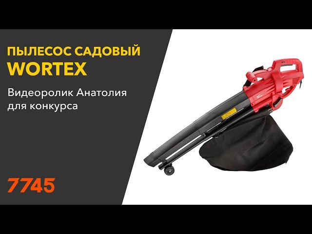 Пылесос садовый электрический WORTEX BV 1325 Видеоотзыв (обзор) Анатолия