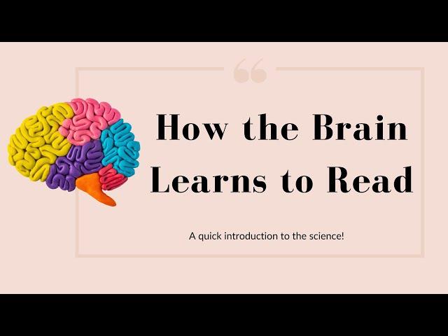 The Science of Reading: How the Brain Learns to Read