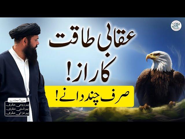 Uqabi Taqat Ka Raaz | Barberry benefits | Tibbi Totkay | Sheikh Ul Wazaif Ubqari