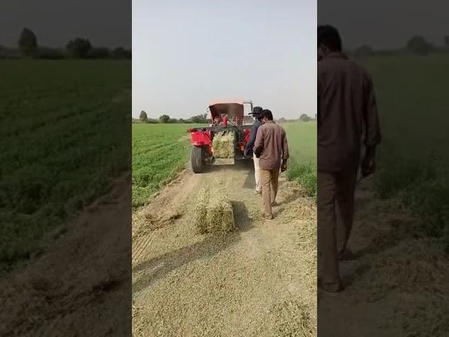 Efficient Farming: Alfalfa Square Bales Made Easy with Tractor Baler