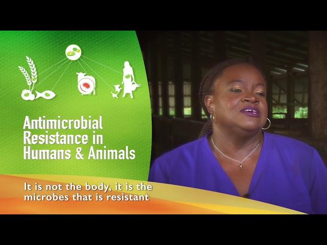 Antimicrobial Resistance in Humans & Animals