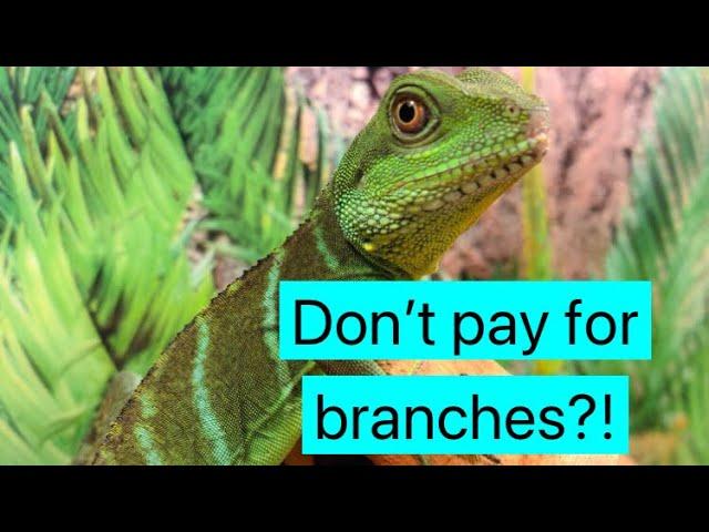 How to make Branches Reptile Safe!