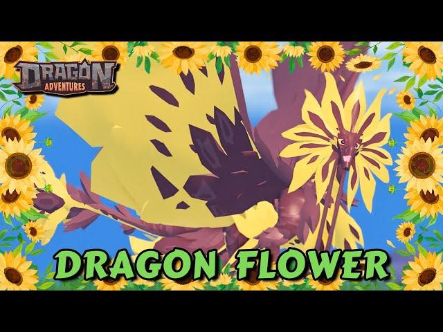 Sunfloris SHOWCASE - Dragon Season 42 | Sunfloris Dragon Adventures