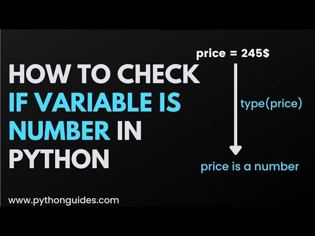 How to Check if variable is number in Python | Check Variable Type in Python | Python Beginner Guide