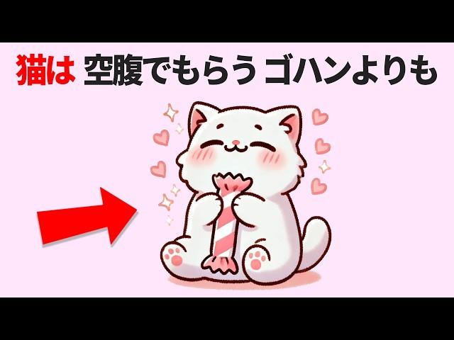 【猫好きさん必見】早く帰って愛猫を抱きしめたくなる！猫の気持ち11選 #猫 #あるある #かわいい