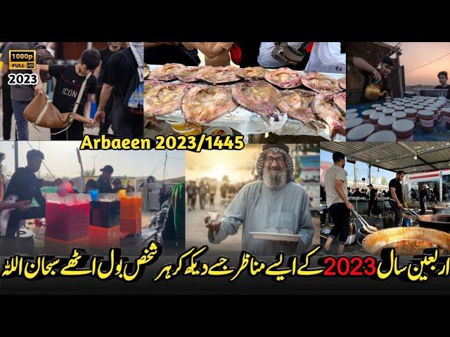 Najaf To Karbala l Arbaeen Walk 2023 l Such Services Of Visitors That The World Is Surprised To See