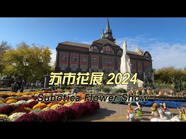 塞尔维亚北部小镇2024花展