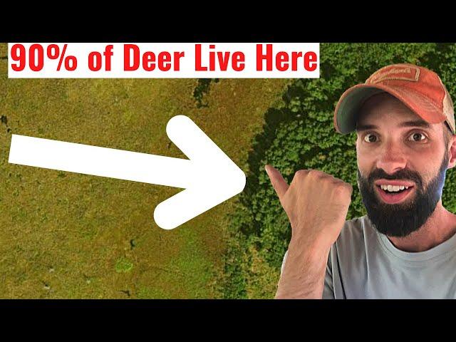 How to Find Deer Hunting Spots FAST