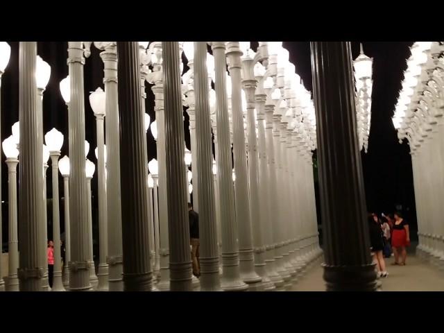 [America] ロスアンゼルスカウンティ美術館 Los Angeles County Museum of Art (LACMA)