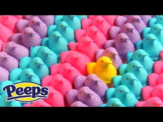 How Marshmallow Peeps Are Made Inside The Factory