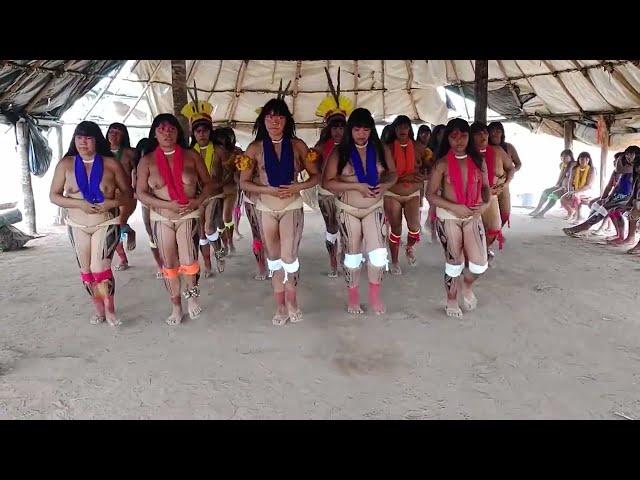 Indígena Do Xingu