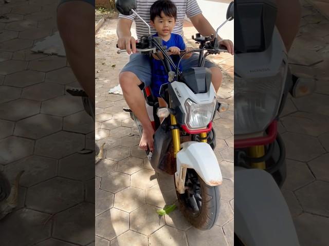 Monkey Bryyan ride the Motorbike with daddy and brother #monkey #babymonkey #littlemonkey #monkey