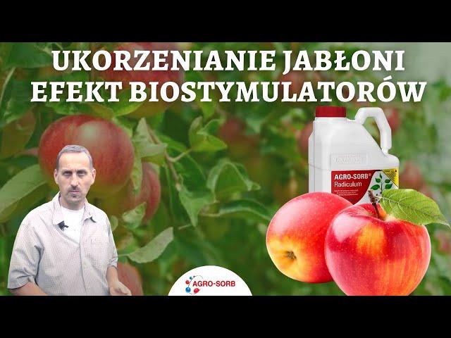 Aminokwasy i jabłonie - AgroSorb Radiculum - PolskieAminokwasy.pl