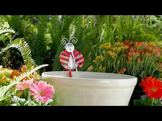 Dottie Planter Fountain