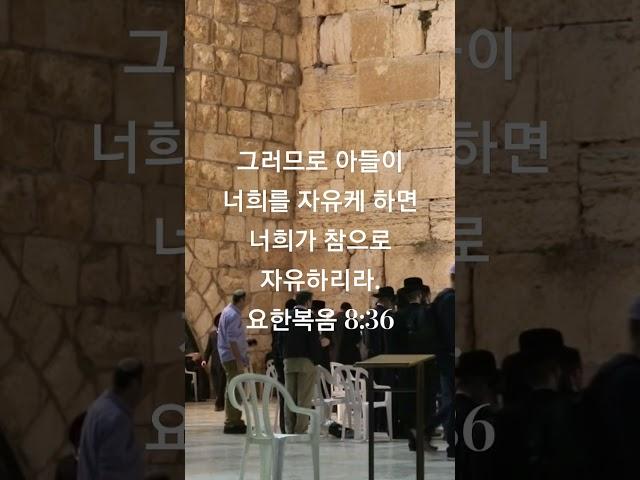 희망과 자유