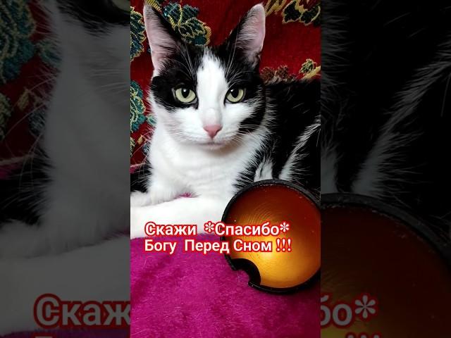 *Спасибо Большое!!! Всевышнему За Всё Хорошее*