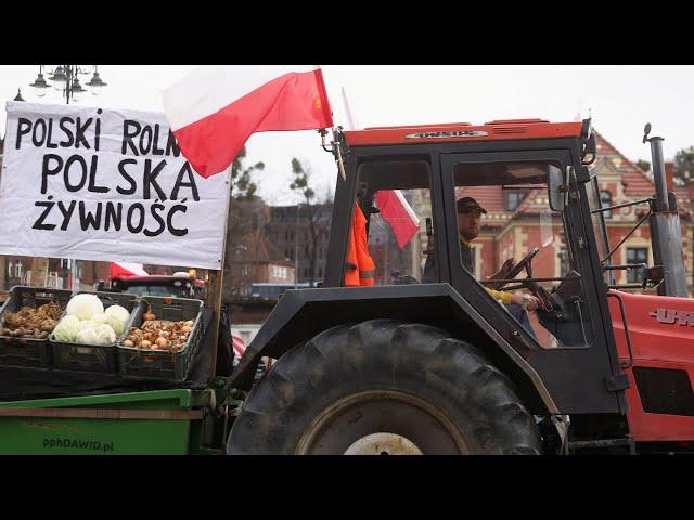 Rolnicy z Polski zatrzymali pociągi na granicy. Ukraińskie zboże rozsypane na torach