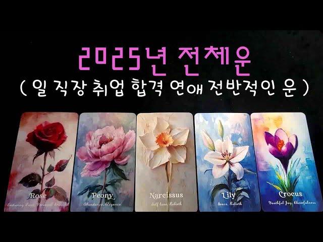 2025년 전체운 ( 금전 일 취업 직장 연애운)