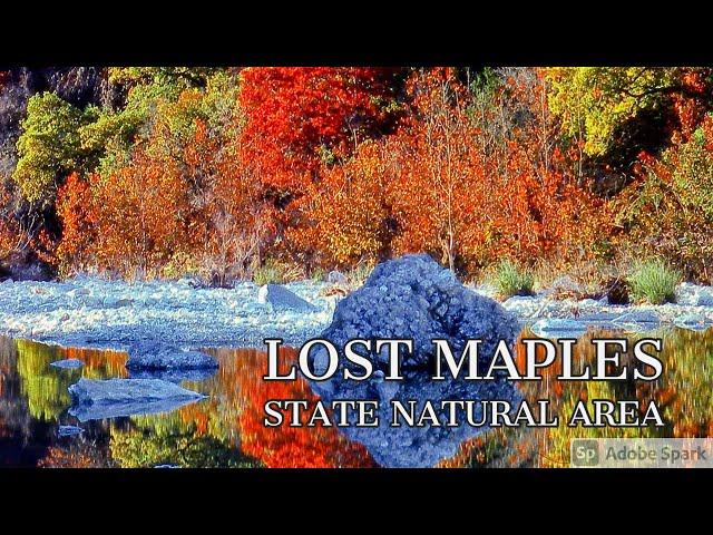 Lost Maples State Park-The Fall Color Capital of Texas
