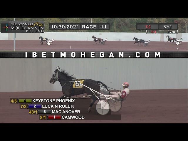 Harness Racing Accident 2021