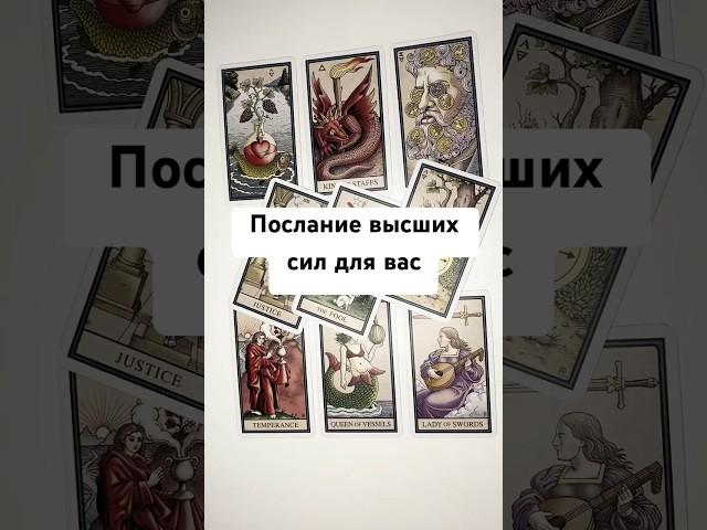 ПОСЛАНИЕ ВЫСШИХ СИЛ ДЛЯ ВАС  онлайн гадание на картах таро сегодня расклад карта дня предсказание