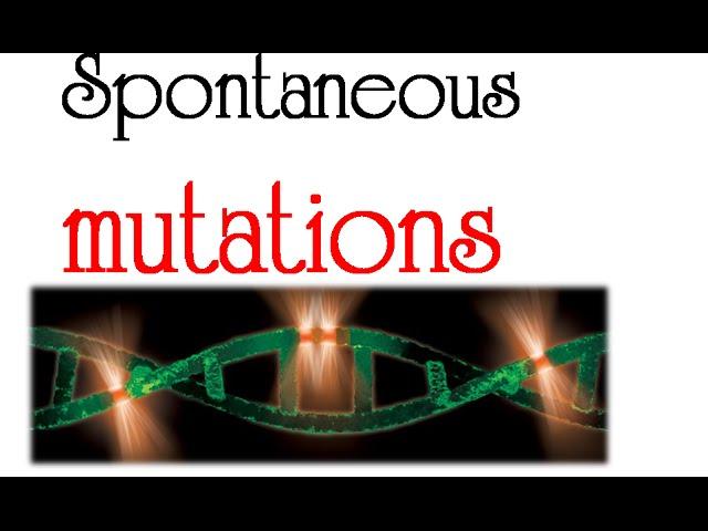 Spontaneous mutation