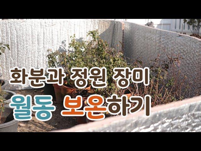 [치치의가드닝클래스] 본격적인 추위가 찾아오면 정원도 보온을 해요