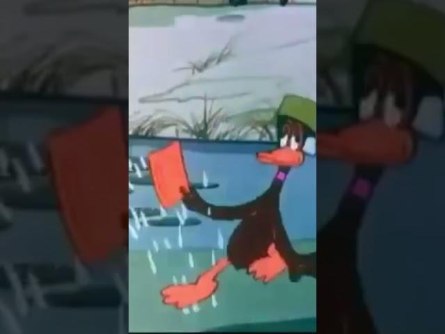 My reaction of 1k subscribers:#daffy #daffyduck #looneytunes #shortvideo