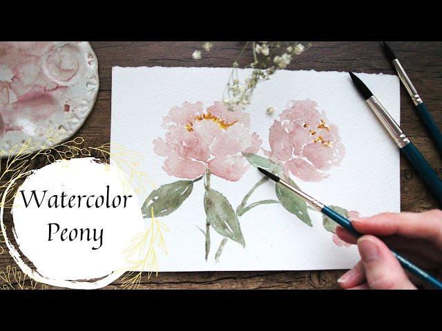 Watercolor Peonies - Beginner Friendly Watercolor Flowers