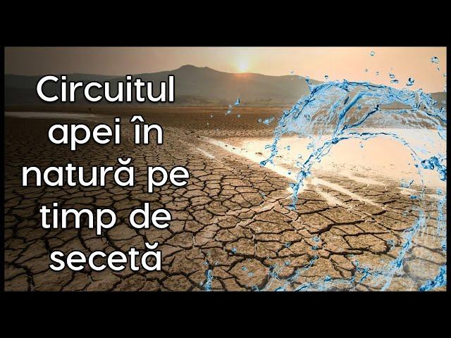 Circuitul apei în natură pe timp de secetă | TOP Vista